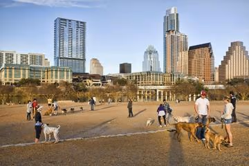 Auditorium Shores Off-Leash Park